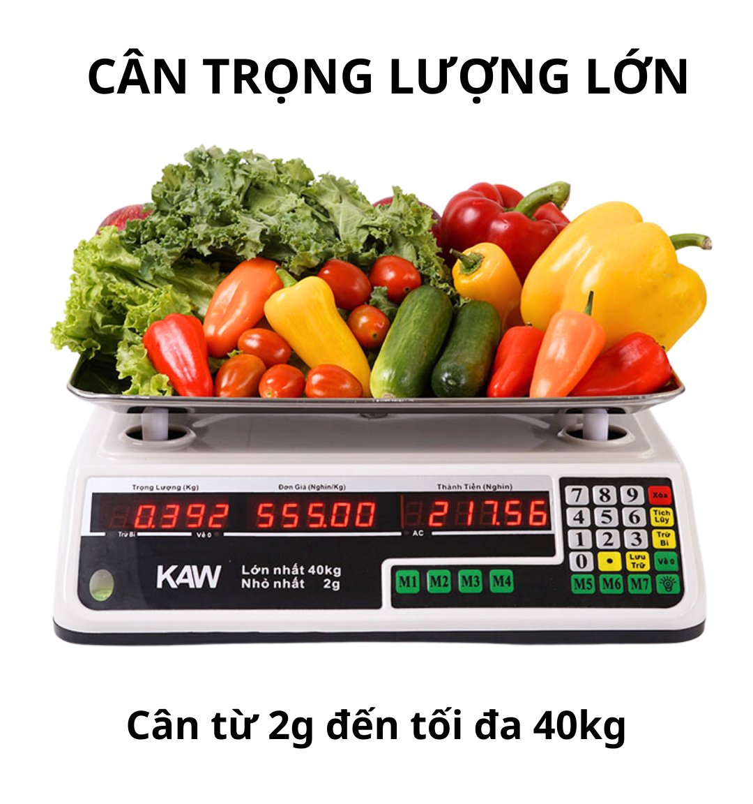 Cân điện tử KAW 550 Cân điện tử KAW 550