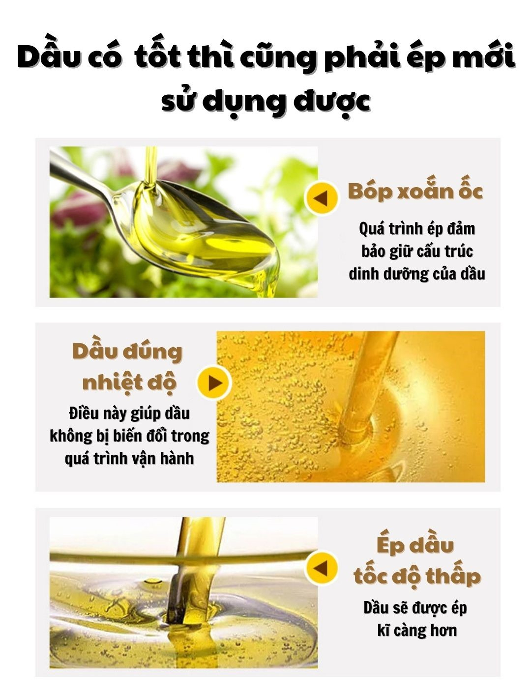 Máy Ép Dầu Thực Vật Gia Đình K88 - Tính năng nổi bật của sản phẩm Máy Ép Dầu Thực Vật Gia Đình K88 - Tính năng nổi bật của sản phẩm