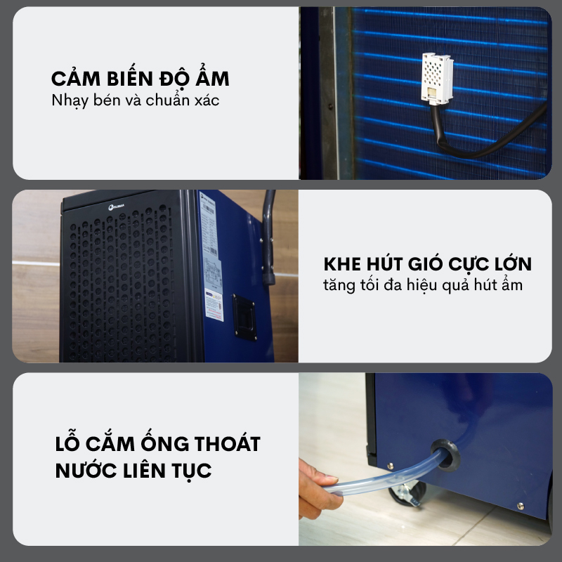 Máy hút ẩm công nghiệp Fujihaia DH70BL - Fujihaia DH70BL dành cho ai?