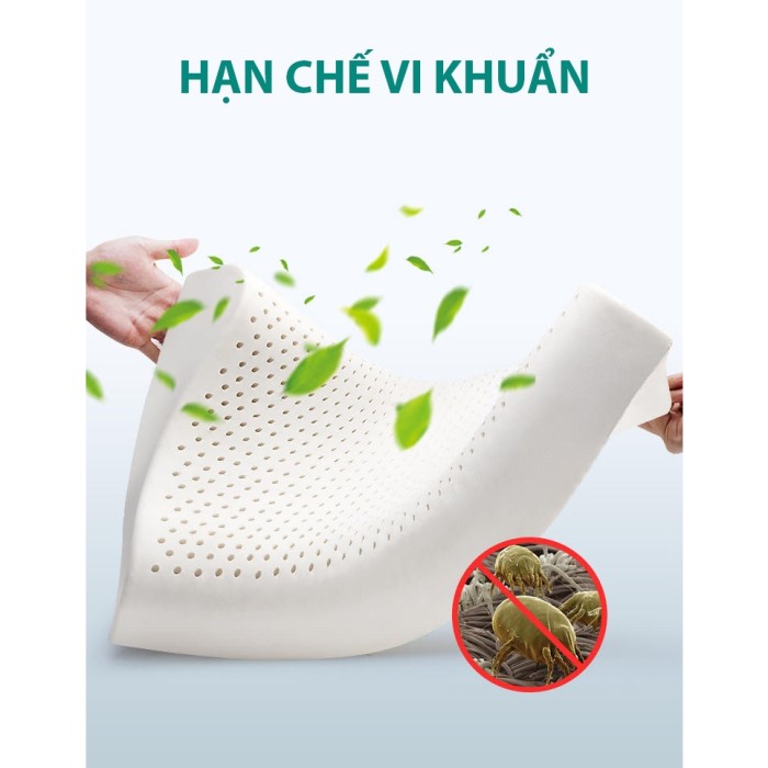 Gối cao su non KAW cao cấp, Giảm đau mỏi cổ, Ngủ ngon hơn, Giá tốt