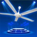Quạt Trần ECOFAN Classic Màu Trắng Chính Hãng, Giá Tốt